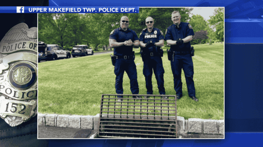 Pennsylvania Police Rescues Ducklings [Photo: 6ABC]