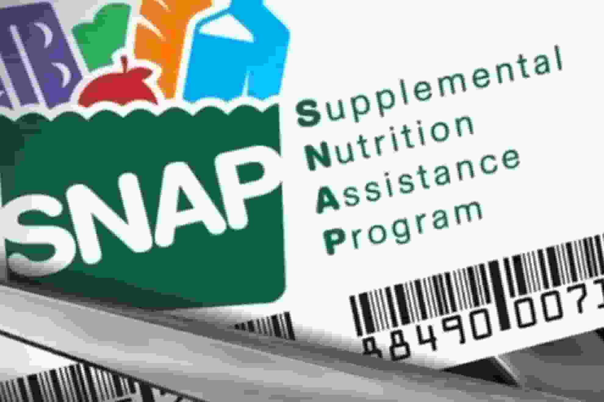 SNAP Benefits 2023 [Photo: www.lupon.gov.ph]