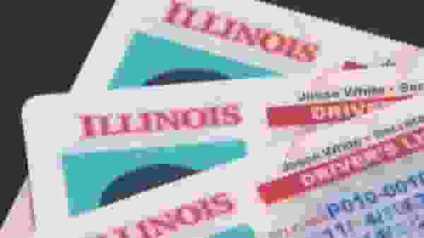 Driver's License for Illinois Undocumented Immigrants [Photo: The Edwardsville Intelligencer]