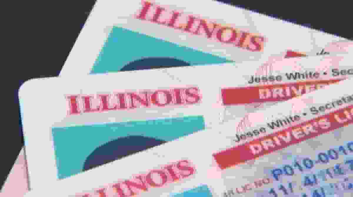 Driver's License for Illinois Undocumented Immigrants [Photo: The Edwardsville Intelligencer]