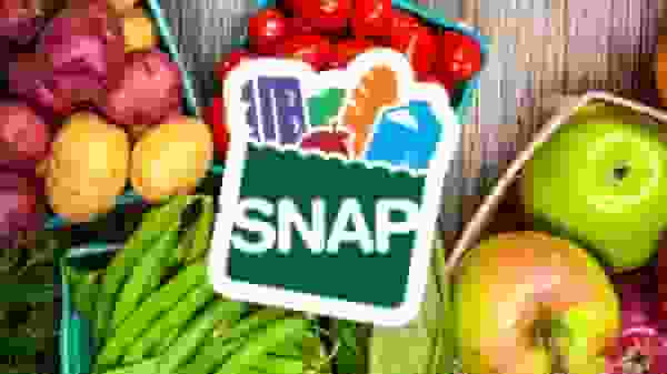 Illinois SNAP Payment August Schedule Released: Find Out When Your Benefits Arrive! (Photo: WLKY)