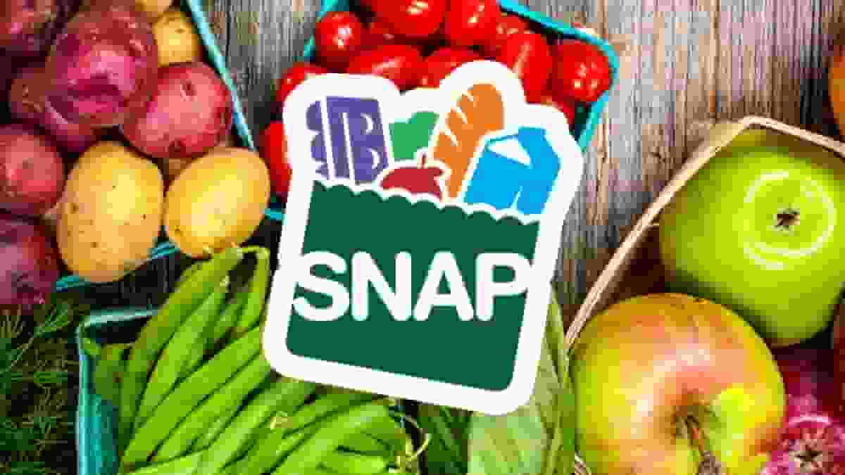 Illinois SNAP Payment August Schedule Released: Find Out When Your Benefits Arrive! (Photo: WLKY)