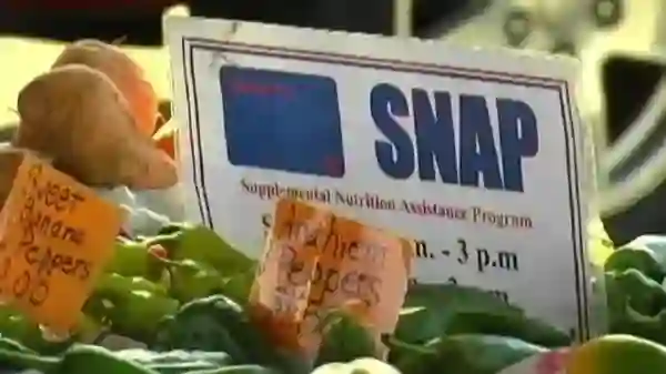 The Illinois SNAP payment plays a crucial role in alleviating food insecurity and providing vital assistance to low-income families in the state.  (Photo: WTWO)