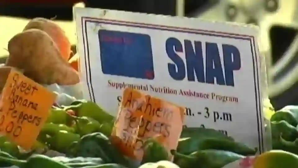 The Illinois SNAP payment plays a crucial role in alleviating food insecurity and providing vital assistance to low-income families in the state.  (Photo: WTWO)