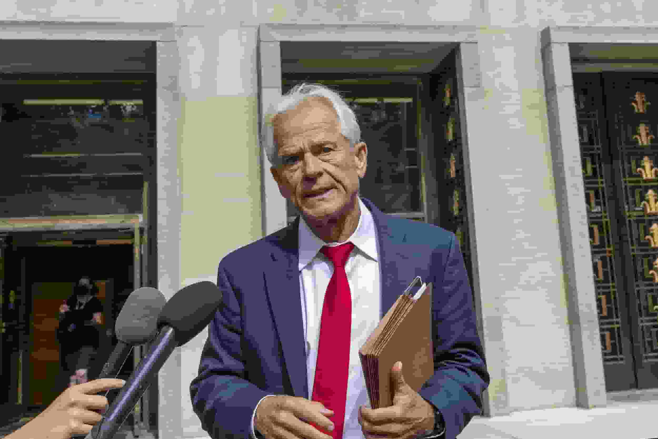 Peter Navarro, Former White House Aide