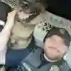 Fired Ohio K-9 Officer's Troubling Behavior Revealed After Unleashing Dog on Surrendering Truck Driver (Photo: Circleville Police/ Facebook)