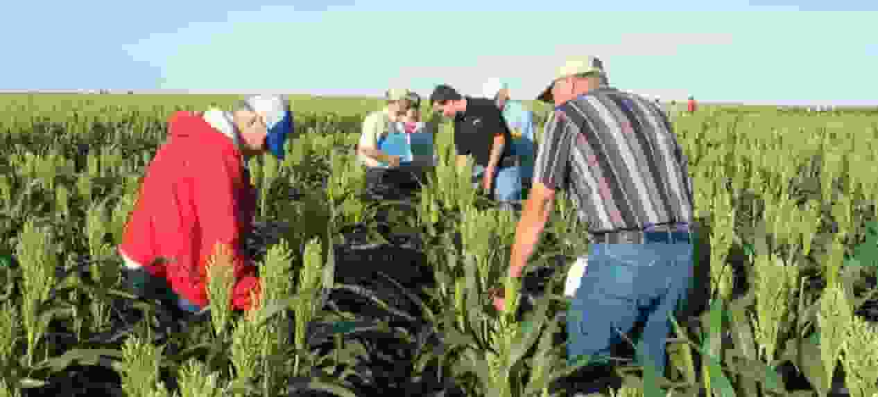 Farmers Seeking Crop Insurance Surge as Kansas Weather Challenges Continue (Photo: Crop Insurance in America Org)