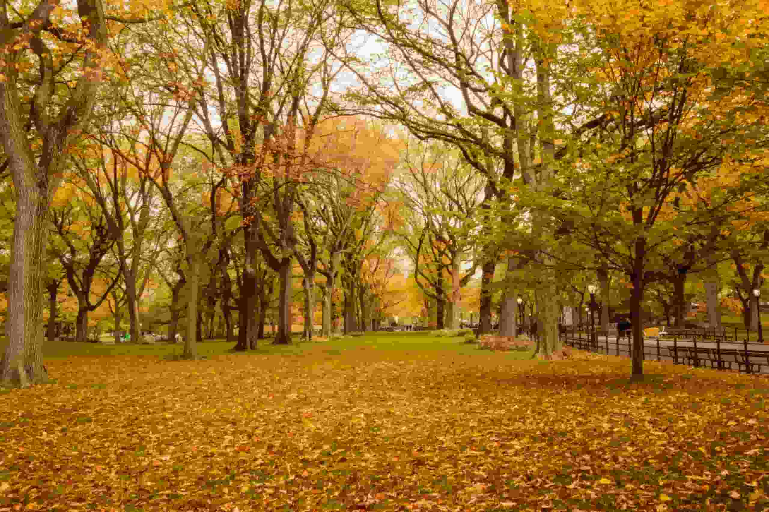 Fall Weather Forecast for New York [Photo: Serena's Lenses]