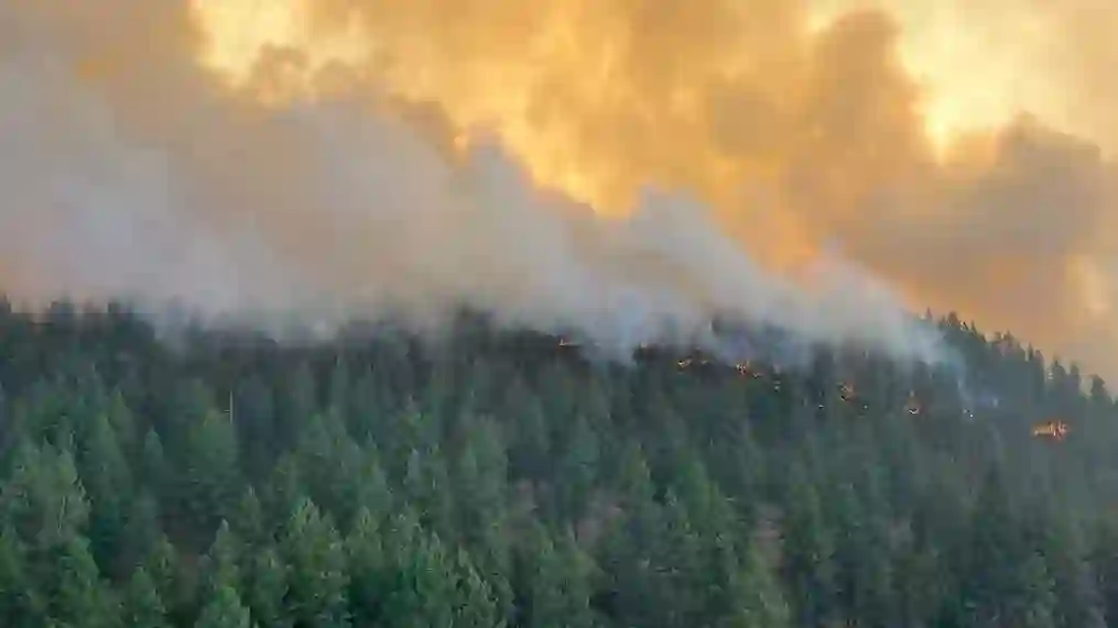 Wildfires in Washington [Photo: KOMO News]