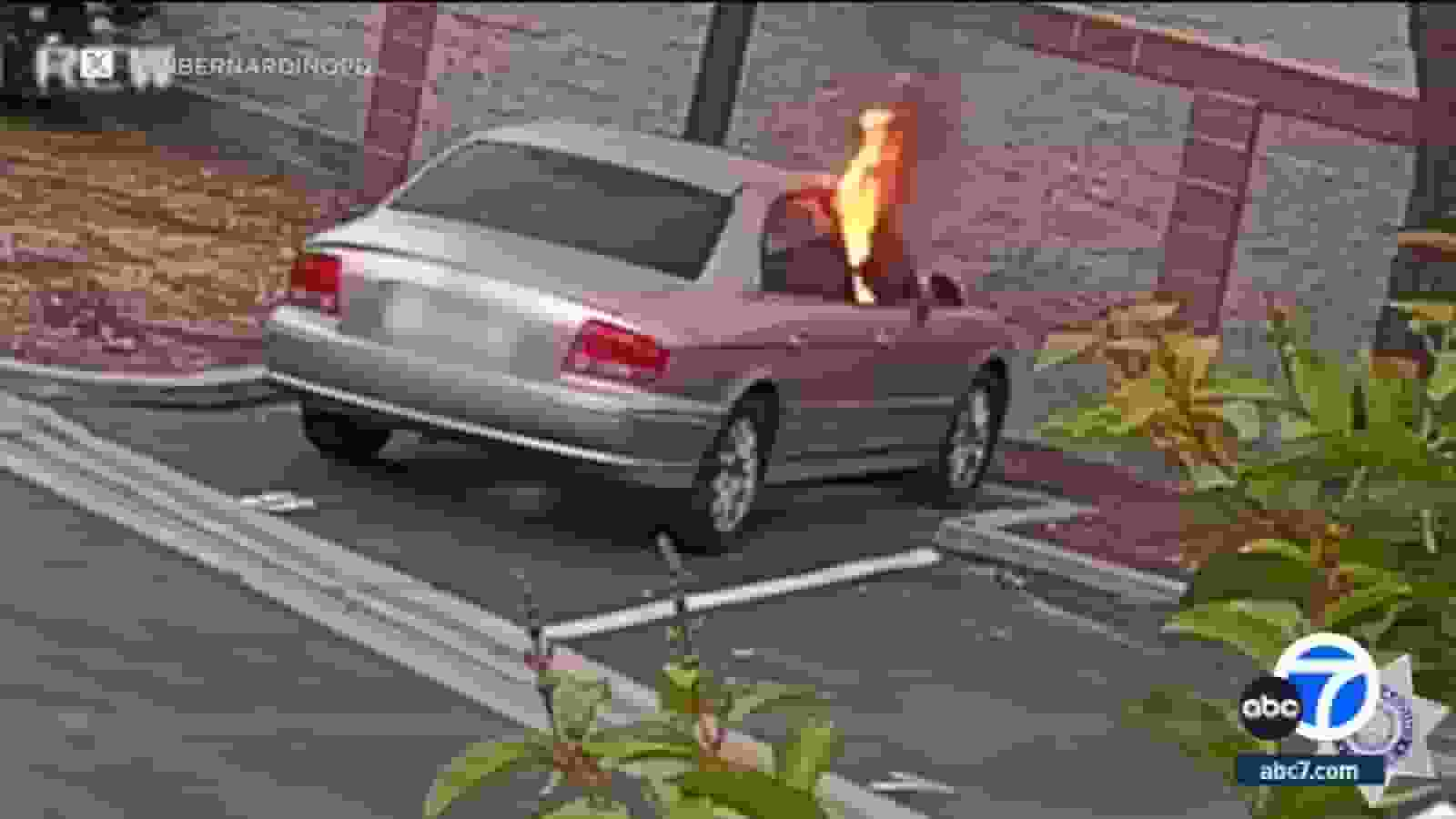 Car on Fire Outside San Bernardino Senior Center [Photo: ABC7]