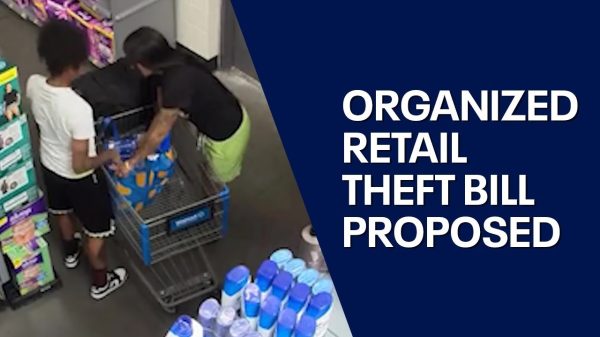 organized retail theft