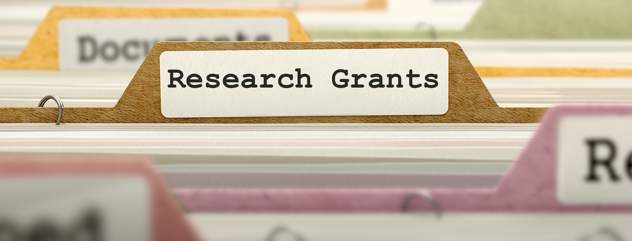 Research grant