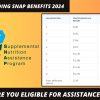 Understanding SNAP benefits 2024 (Photo: Canva/Google)