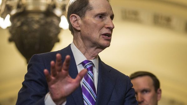 Senator Ron Wyden is pushing for the addition of security chip on EBT cards. (Photo: Vox)