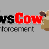 Law enforcement logs Jan. 3-5