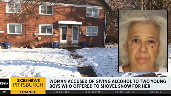 Woman gives neighborhood boys $5 to shovel, then invites them inside for hot chocolate before getting them drunk and sexually assaulting them: Police