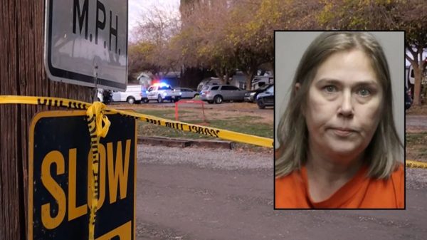 ‘Deceased for several days’: 11-year-old boy was suffocated by ‘manic’ mom who rampaged RV park, police say