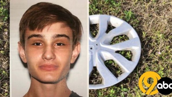 ‘They do not object to this’: Florida teen known for high-speed TikTok videos who killed 6 people while driving 151 mph in BMW will serve 2 years for each death