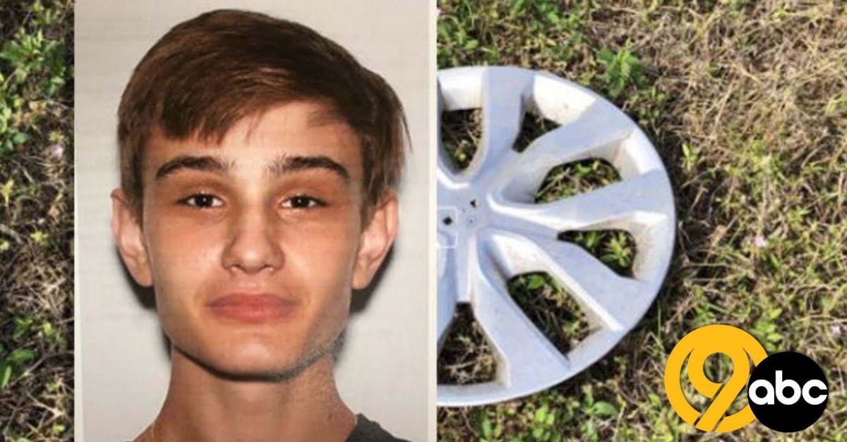 ‘They do not object to this’: Florida teen known for high-speed TikTok videos who killed 6 people while driving 151 mph in BMW will serve 2 years for each death